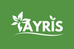 Ayris screenshot